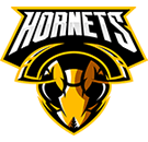 https://straymondscyo.sademo.xyz/wp-content/uploads/2022/09/team_logo_06.png