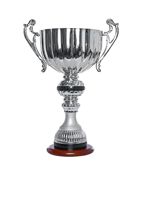 https://straymondscyo.sademo.xyz/wp-content/uploads/2022/11/trophy_01.png
