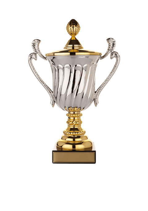 https://straymondscyo.sademo.xyz/wp-content/uploads/2022/11/trophy_02.png