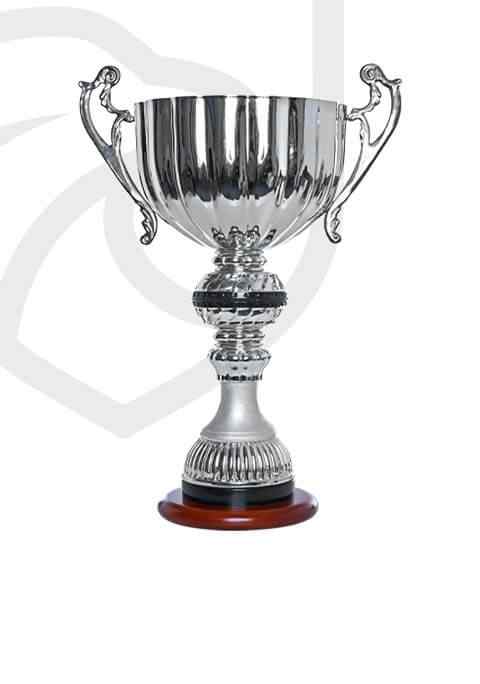 https://straymondscyo.sademo.xyz/wp-content/uploads/2022/11/trophy_overlay_01.jpg