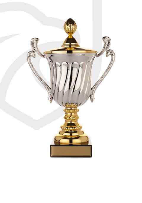 https://straymondscyo.sademo.xyz/wp-content/uploads/2022/11/trophy_overlay_02.jpg