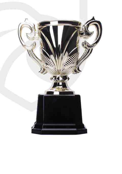 https://straymondscyo.sademo.xyz/wp-content/uploads/2022/11/trophy_overlay_04.jpg